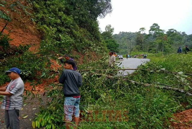 Jalan Peureulak Lokop Aceh Timur Longsor