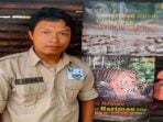 LPKEL Sesalkan Matinya Gajah Sumatra