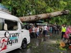 Mobil Hiace Tertimpa Pohon di Medan Kota
