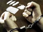 Polisi Bekuk Kasat Narkoba Terkait Peredaran Narkoba