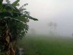 Tiga Kabupaten-Kota Di Aceh Ditutupi Kabut Tebal
