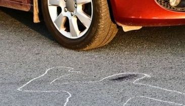 ODGJ Tewas Ditabrak Mobil Pikap