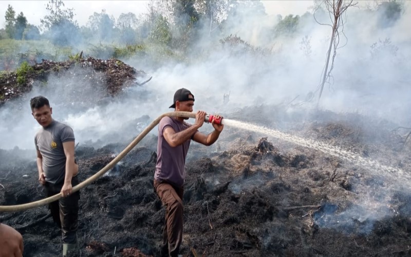 Singkil Diduga Puluhan Ha Lahan PT Delima Makmur Dibakar, Ini Kata Pimpinannya