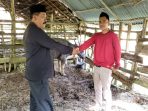 T. Muhammad Arfan Serah 8 Ekor Kerbau Untuk Warga Meureubo