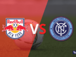 NY Red Bulls vs New York