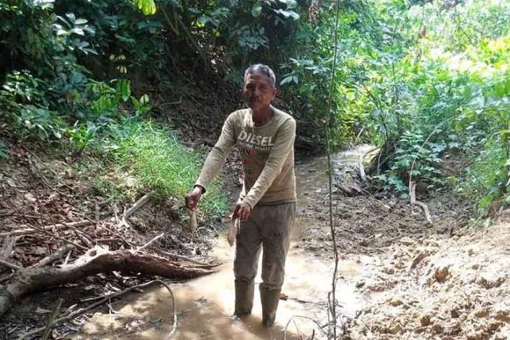 Ribuan Jenis Ikan di Sungai Raya Aceh Timur Mendadak Mati