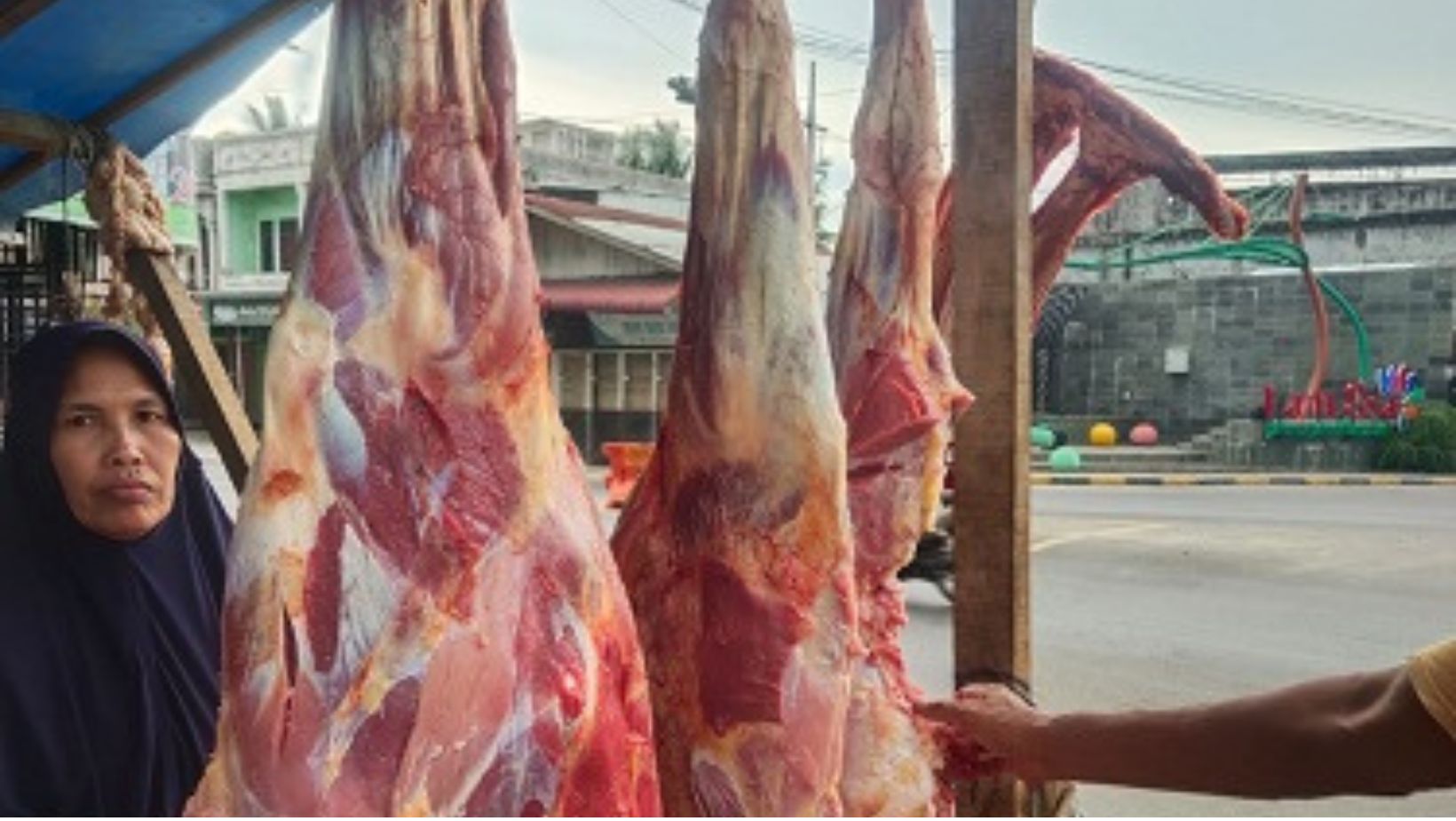 Meugang Perdana Di Langsa Harga Daging Rp170 Ribu Meugang Perdana Di Langsa Harga Daging Rp170 Ribu