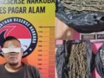 Polisi Bekuk Pengedar Ganja Asal Lahat di Pagaralam