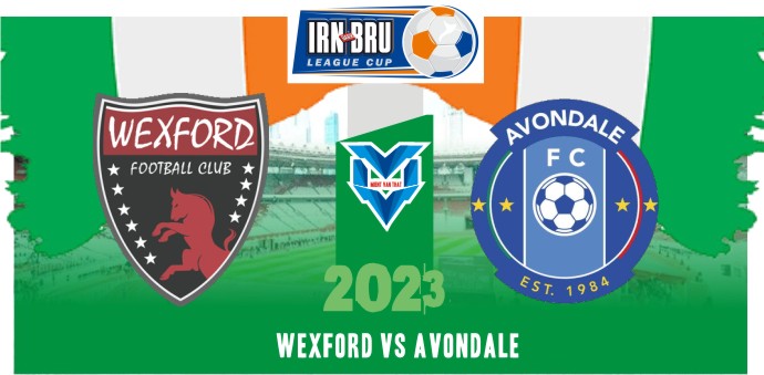 Wexford vs Avondale Wexford vs Avondale