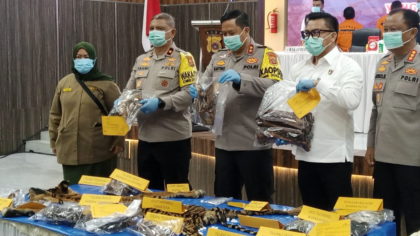 Polda Aceh Bongkar Sindikat Perdagangan Kulit Harimau Sumatera