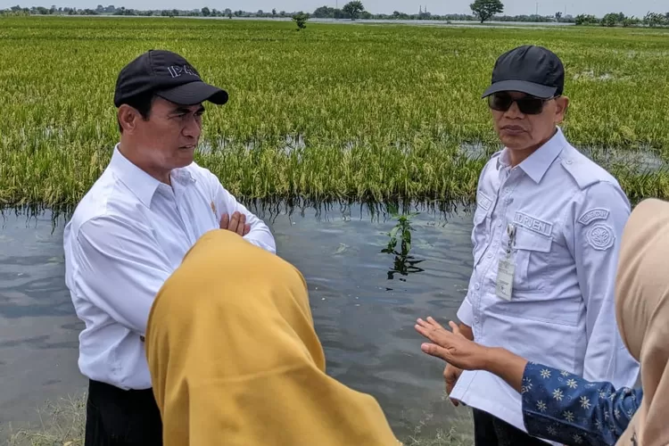 Mentan Bantu Sarana Pertanian Korban Banjir Senilai Rp30 miliar