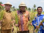 Gubernur NTB Panen Raya Padi Untuk Jaga Persediaan Beras