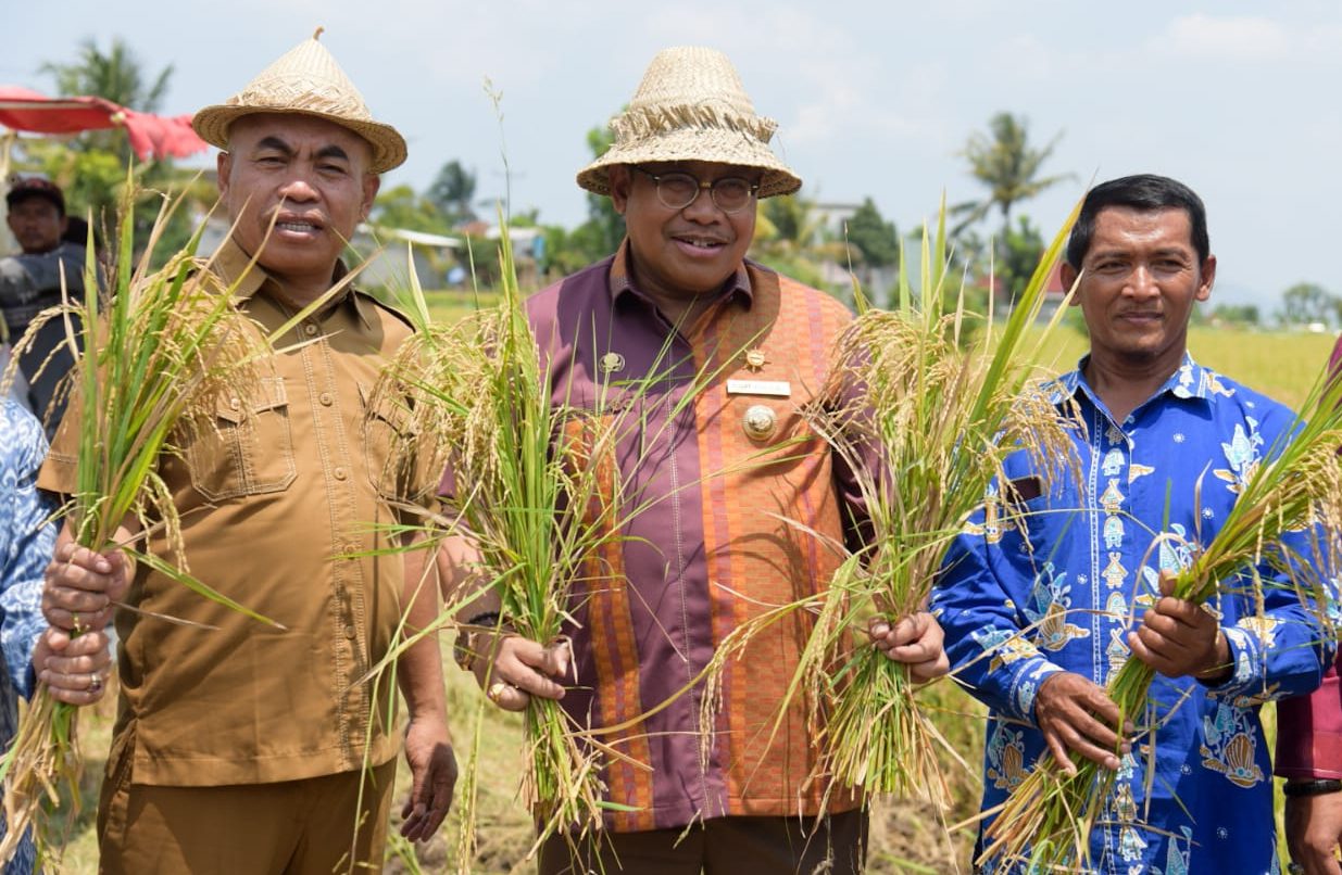Gubernur NTB Panen Raya Padi Untuk Jaga Persediaan Beras