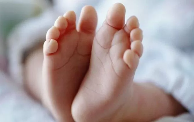Geger, Penemuan Bayi Laki-Laki Di Lahan Kebun Warga Sukabumi Geger, Penemuan Bayi Laki-Laki Di Lahan Kebun Warga Sukabumi
