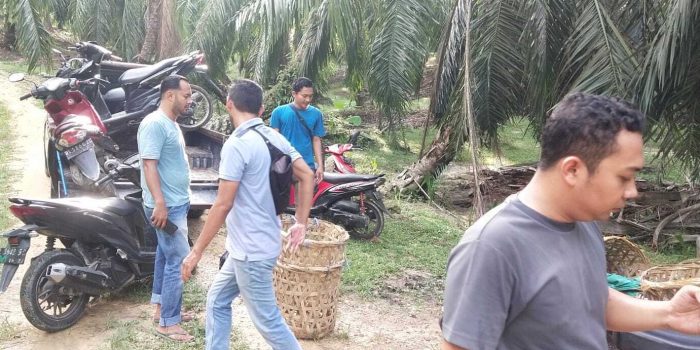 Tim Opsnal Satreskrim Polres Langsa Berhasil Menciduk Tempat Judi Sambung Ayam