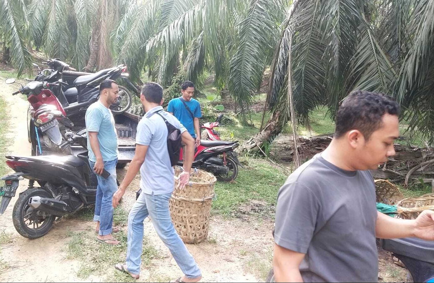 Tim Opsnal Satreskrim Polres Langsa Berhasil Menciduk Tempat Judi Sambung Ayam
