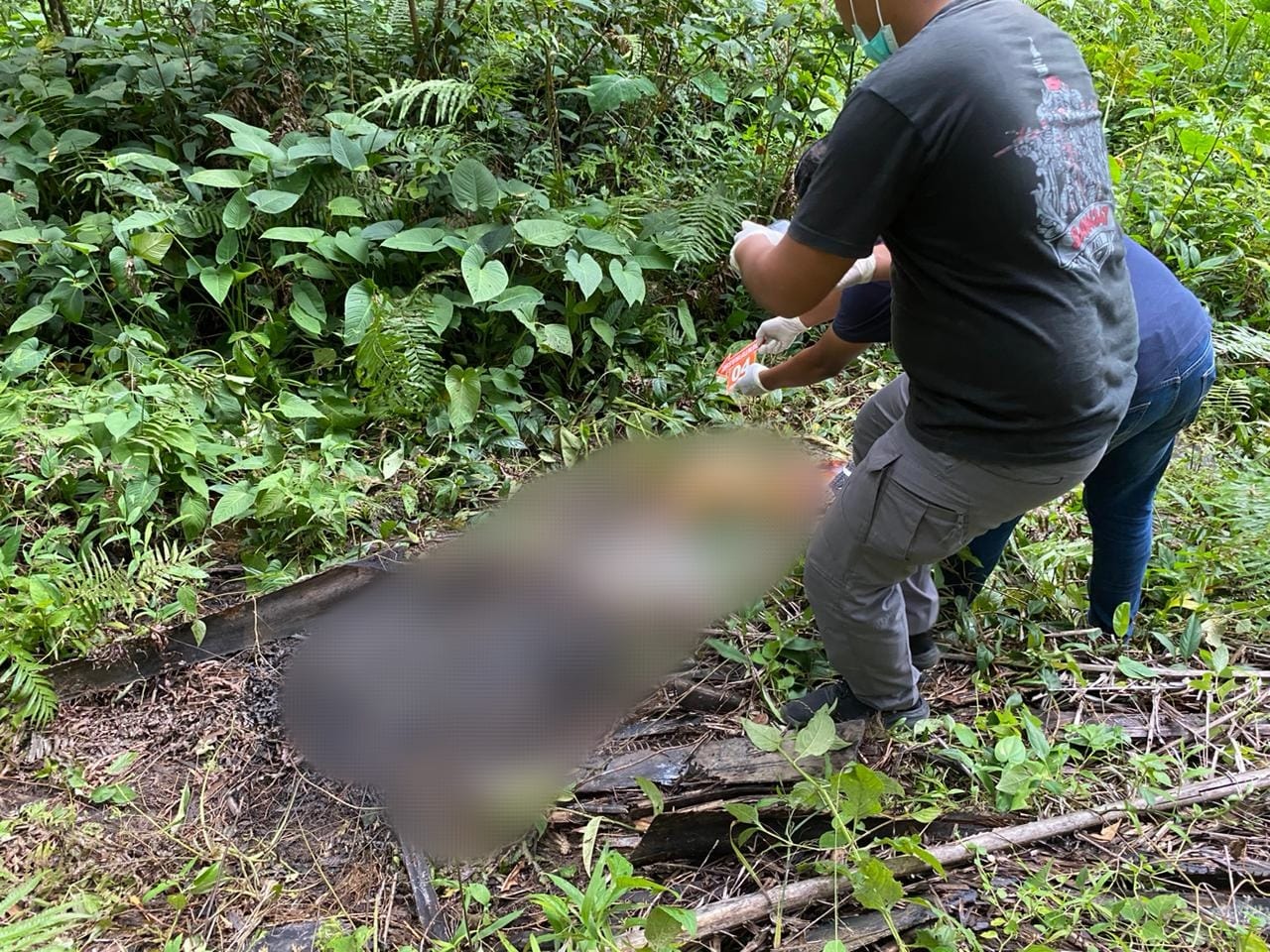 Pencari Berondolan Sawit Temukan Mayat Dikebun Warga