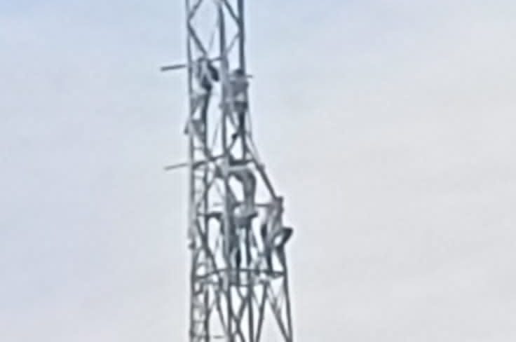Tanpa Memiliki PBG, Pembangunan Tower Tetap Berjalan