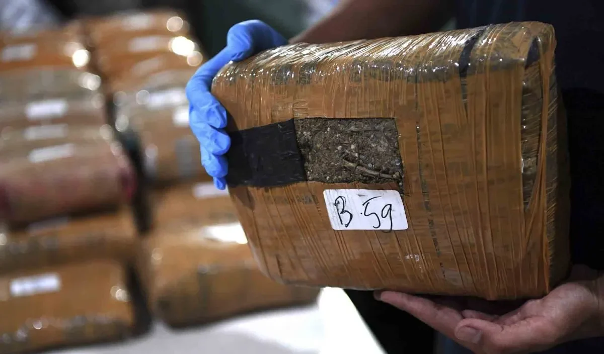 Polisi Ungkap Peredaran 34 Kg Ganja Jaringan Sumut-Jakarta Polisi Ungkap Peredaran 34 Kg Ganja Jaringan Sumut-Jakarta