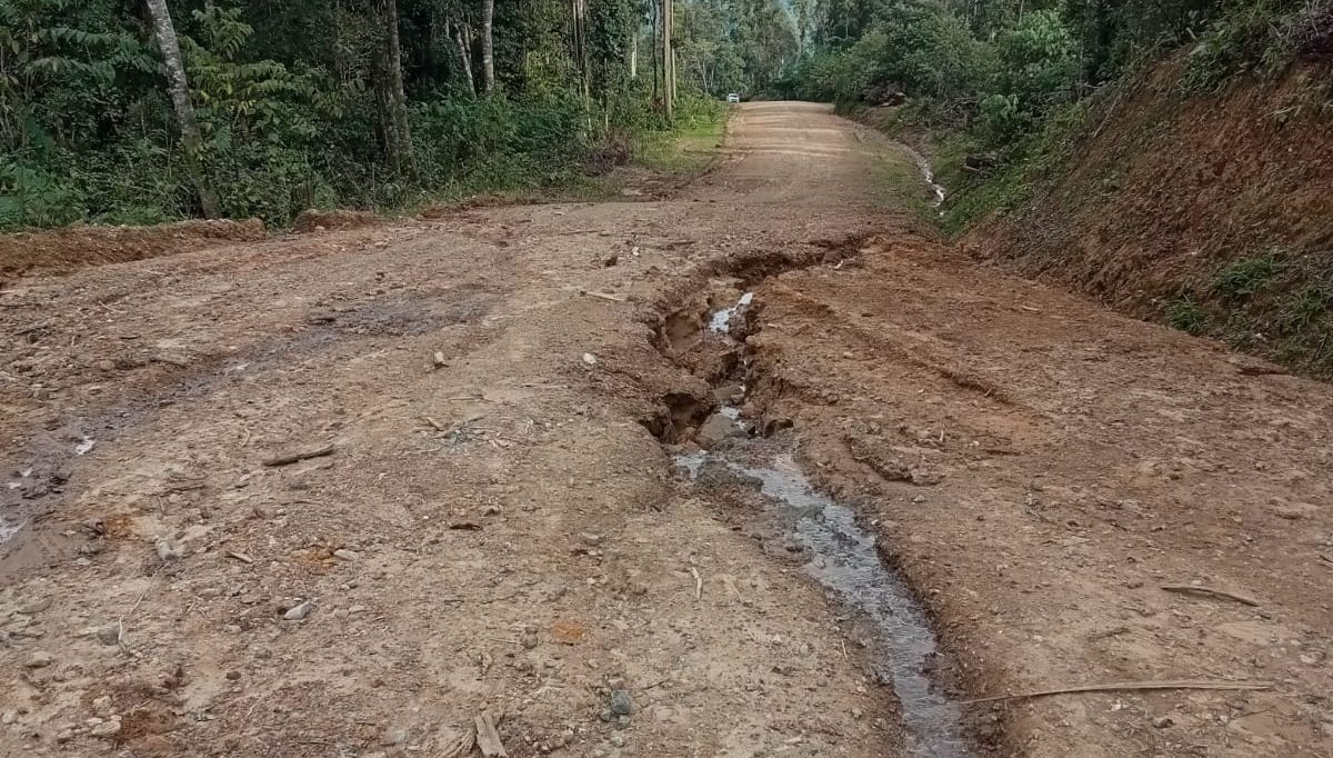 TTI Desak Kepala BPJN Aceh Bersikap Tegas Terhadap Rekanan Pembangunan Jalan Dan Jembatan Geumpang-Pameu TTI Desak Kepala BPJN Aceh Bersikap Tegas Terhadap Rekanan Pembangunan Jalan Dan Jembatan Geumpang-Pameu