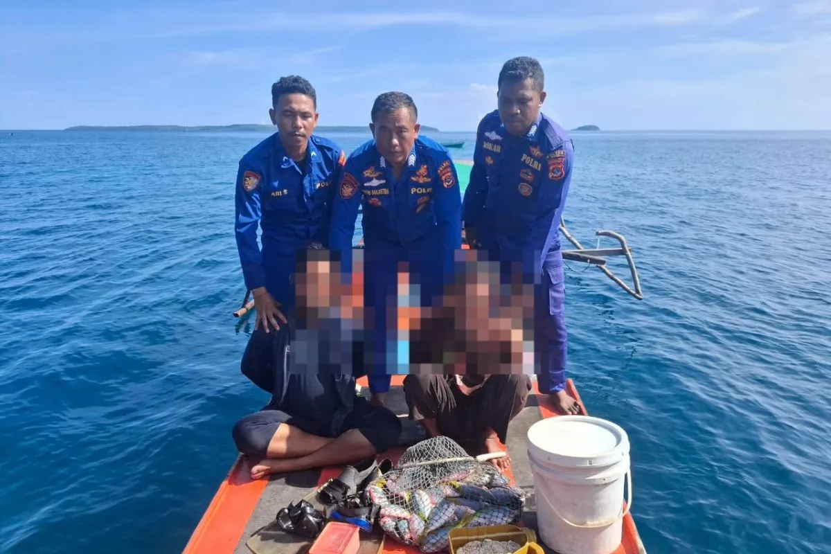 Dua Nelayan Sikka Ditangkap Karena Gunakan Bom Ikan