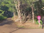 Pangdam Siliwangi Tinjau Lokasi Pemusnahan Amunisi Pangdam Siliwangi Tinjau Lokasi Pemusnahan Amunisi