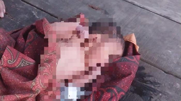 Geger, Guru SD Temukan Bayi Di Semak-Semak Saat Pulang Sholat Subuh