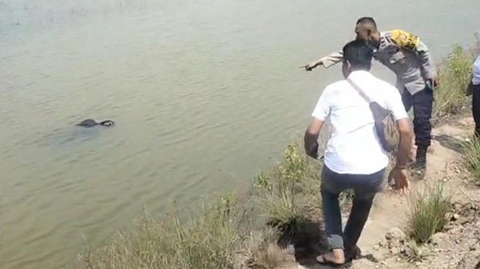 Breaking News, Seorang Pria Di Bayeun Ditemukan Mengapung Di Tambak Keluarganya Breaking News, Seorang Pria Di Bayeun Ditemukan Mengapung Di Tambak Keluarganya