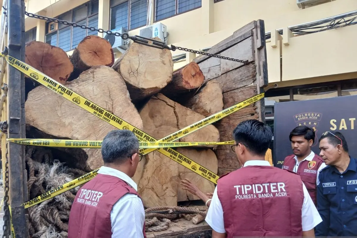Polresta Banda Aceh Gagalkan Penjualan Kayu Diduga Dari Ilegal Logging